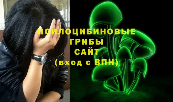 прущий лед Алексеевка