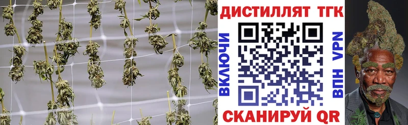 ТГК вейп Гаврилов Посад